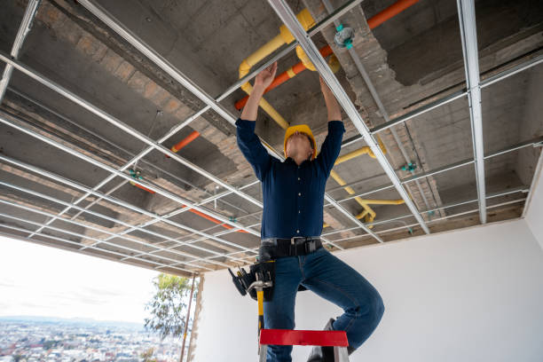 Best Plumbing Inspection Services  in Bonsall, CA